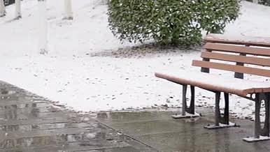 4K北方冬天大雪中公园躺椅实拍视频视频的预览图